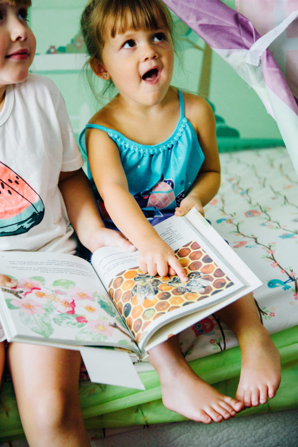 Fostering a Love of Reading - Playfully