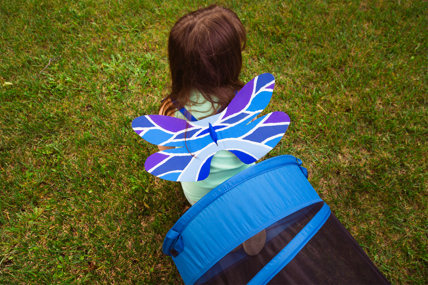 DIY Dragonfly Wings for Labor Day
