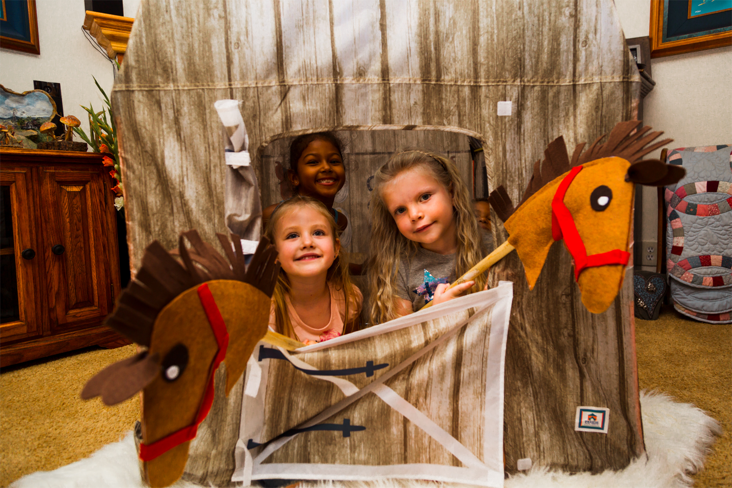 Time to horse around your play house with a DIY!